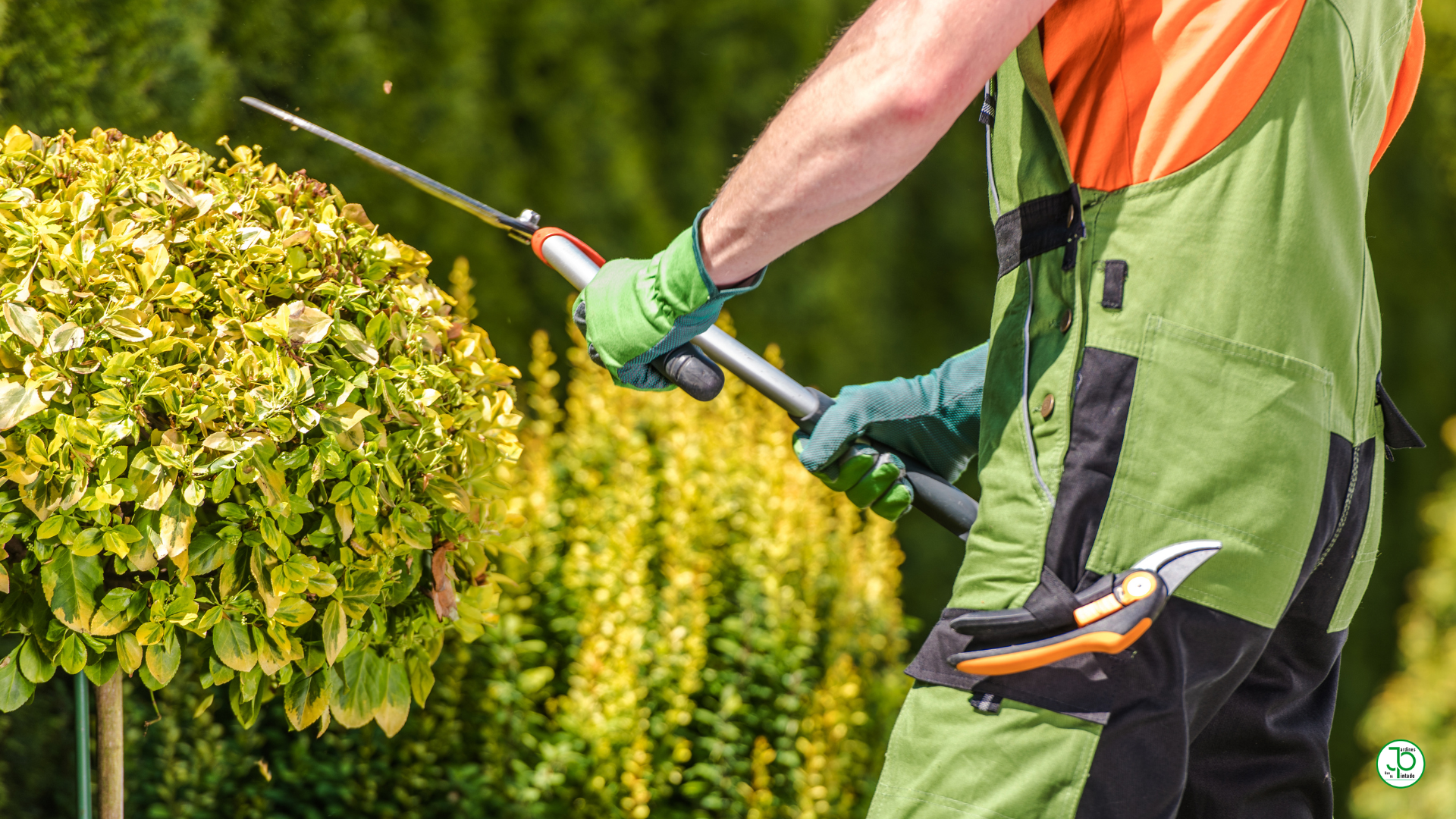 Jardinería Valladolid Jardines que ni Pintado